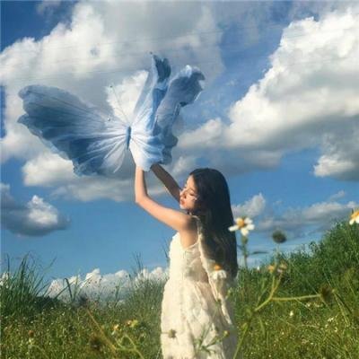 龙虎兴邦